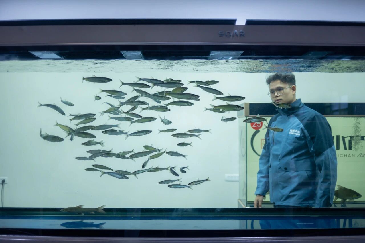 殷琦丰：90后毕业生把“土著鱼”做成大生意，打造国家级养殖示范区