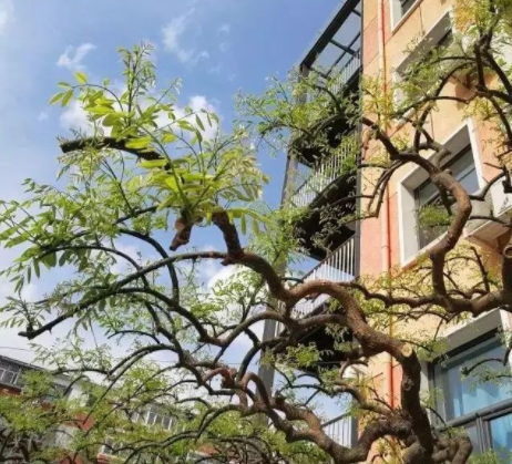 国务院发文“双创”要升级了！点击查收最新版本~