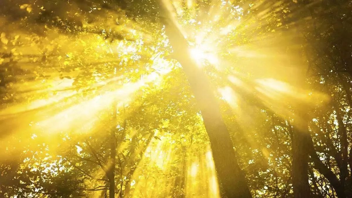 在你心中北交院是什么颜色？