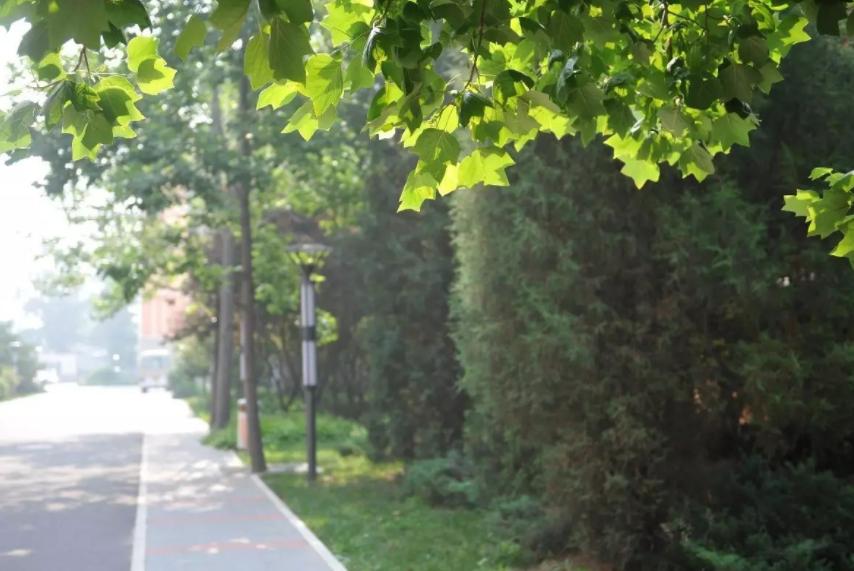 报到须知 | 收到通知书了！赶紧看看自己哪天报到？