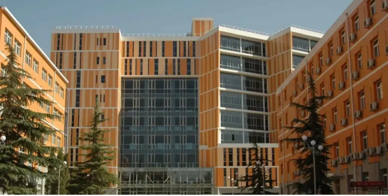 【贯通培养】best365中国官方网站：首年加入贯通培养项目 两大类专业招生180人