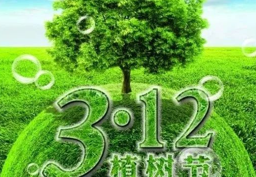 植树节｜同种一颗绿树，共建生态环境