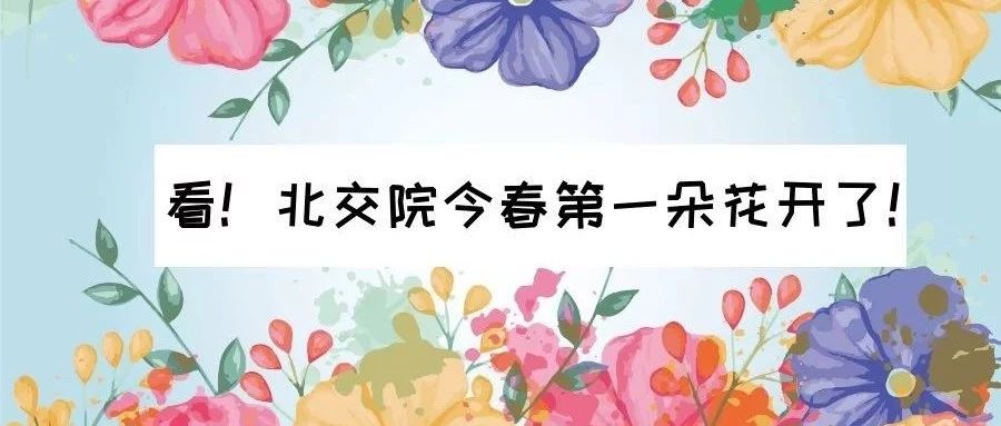 走～集合！我带你们去best365中国官方网站看校花！