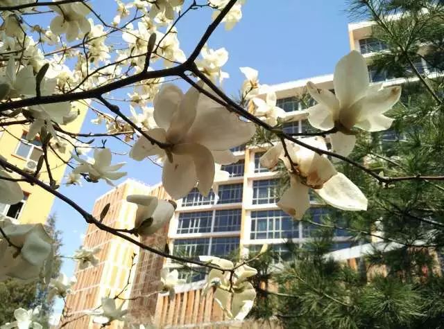 学生发声 | A→Z，爱上北交院的26个理由