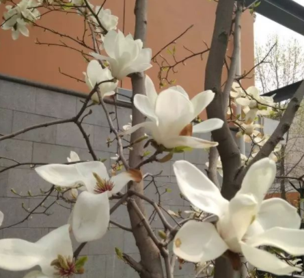 『中招·补录』关于北京交通行业最热门的专业选择开始了！