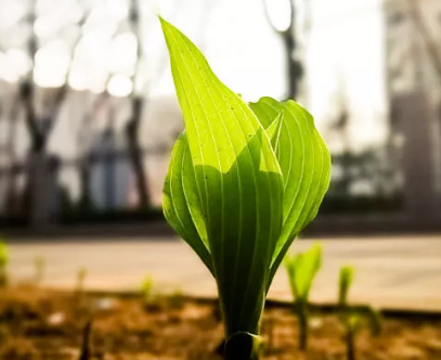 北交院摄影大咖秀 | 仅此一份，手机也能拍出满意的照片！