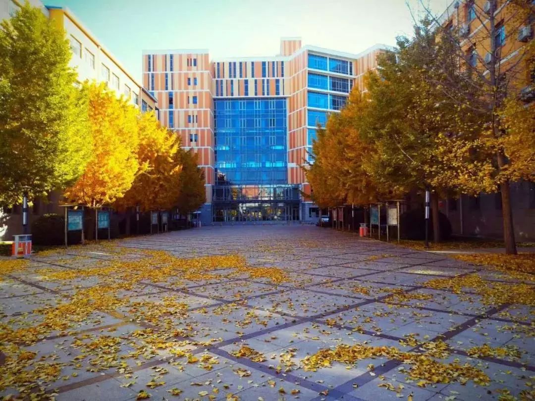 请收藏！北交院独家赏秋地图